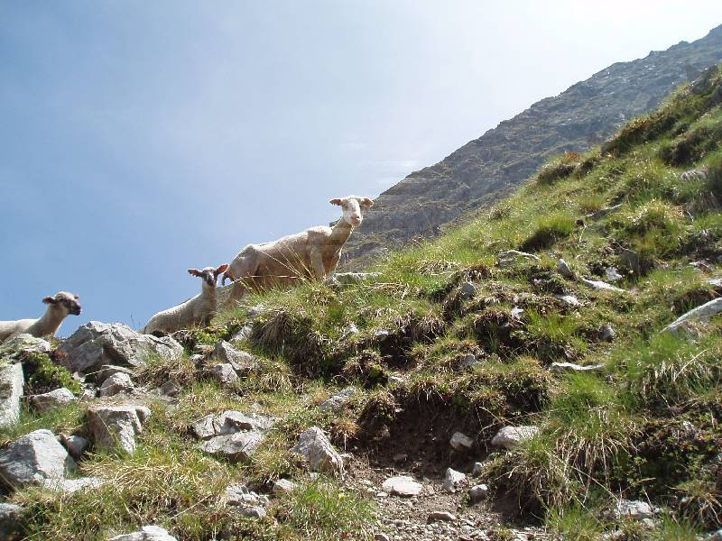Youri - Ecrins 2005 348 